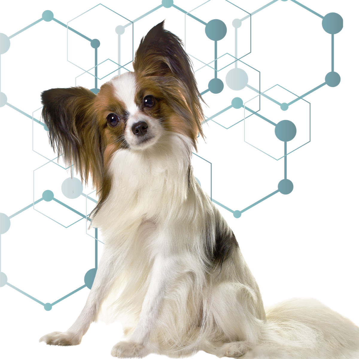 Small dog tilting its head in front of an abstract network of teal nodes and lines, symbolizing clear communication between humans and AI.